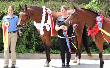 Region 11 Sport Horse Championships '23 - Saturday & Sunday