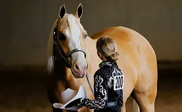 Region 7 2026 - Saturday 4/18