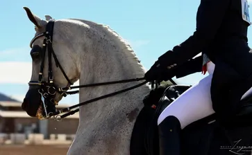 Scottsdale 2026 - Sunday 2/22