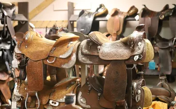 Tack Solutions Scottsdale Arizona