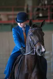 3cae255c22bf71a2c5cc0790e45a8f9f4962bc96819c4c8921c7d4a5f804f82d_1_IzAwMDgwMF8xMDA=.jpg