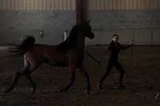 737d6712d3534212583e21433c6a83aa863b5f865e51fa352a2c11fe0c25d2ab.jpg