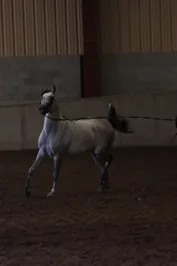 9aa63b3ce0b0d54848300c1e54b12ca32a5b7270001b1d35d66dce20f9aed8f5.jpg