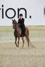 205a7d0082ff1115233acbf1211040c24f75001566934d6e13bef25eb3d1cd84_1_IzAwMDgwMF8xMDA=.JPG
