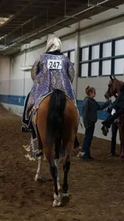 3f8ee2cbbbd20aab0902490e99cea6bf301e1a3e5567c346beec5dd2c0b3e394_1_IzAwMDgwMF8xMDA=.JPG