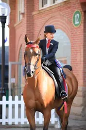 c50b4e35f6d164ebd3bb291895b3b463ec62c2e784ea1c195d8bf1284d6524a0_1_IzAwMDgwMF8xMDA=.jpg