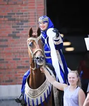 f04254f256d186951a7cd4d3d2e56fb731719838afeb8430170dbccf082c145e_1_IzAwMDgwMF8xMDA=.jpg