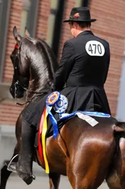 19e848a3913dfd3c1fe4a5b5897f13815b35bb4219c562f67d8caa464e5c7ead.jpg
