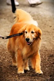 cac5b8fb0862729c58e9db974907a336f9ee9c4b95b67b9127c5ecda1d6c5126.jpg