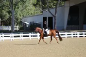 e91aebc36dc8d8bd60ae07a6d875190cf819fa2938be96ad726bfbb4d5785a73.jpg