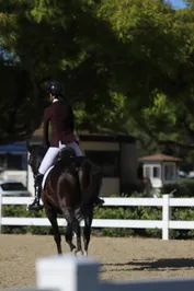 13b845b1900c3e0d34633decaa00cb3df7f12ce71a885a225369879e84cf8391.jpg
