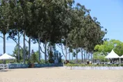 4e37c7460100416818ddf540a74e46d52657ed5b75c4b359b3b16f6c7060266a.jpg