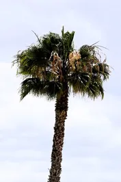 f54f031baf710a29003c7bc80503a03f617788c77e14932b79afdf0034261ed5.jpg