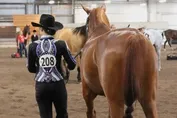 107c59858189f188de72cc71c24fb1254818640696e6341cd7c24c9722cf41da.jpg