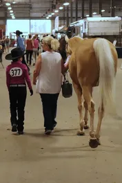 28ae1ee446854d490a72692e703bd3cfa2b7d7d2d24ea1b7ee1f2f26e9ba6e13.jpg