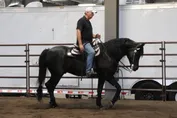 b4ed4186ae55787f5d448003e140bb531429ec075ec257ffdb1595de530605cb.jpg