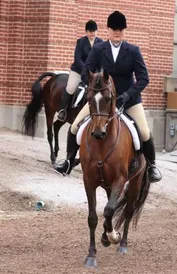 945d0198c4b601dbc6c20734292de56414c7532b9e3f2df822bab40c084af9bf_1_IzAwMDgwMF8xMDA=.JPG
