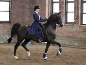 5ee5448491a50fd50e2e92a205737a6aaf6fc5984a5d5235f3ec7c25c7d95dac_1_IzAwMDgwMF8xMDA=.JPG