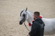 0957709b4519357443317dc0493994ab8e69a0f9af76afdc0ec55f0cc964172e.jpg