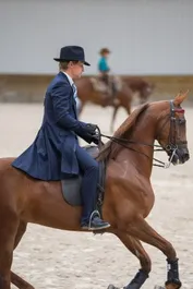 97033e3a999a2637be81d658adef02a85d06f125c10ff6d7563d5abbe5f73ba3.jpg
