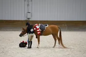 00a7a5344ef34091f7be731eef24c895e5152c4062685421998979ffbba9e400.jpg