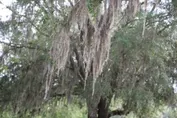 b3678f4c9e7233a1a2f302793ecdf2fb96c62f4af8308bf47624113d169b60be.jpg