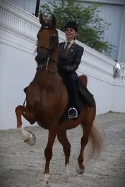 fe5150c3a65c9b6d3a3aa1c26a9097ebae36a812a9ec879bda5c817c0e6c3c58.jpg