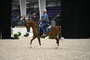 242dabe357c69d223d800d8360e041d62477fb5e5af74de4d2d312794d246f38.jpg