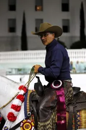8b2c58bda768ceaf33bddfc91215c87ea78f539adc054cc3176624f71e61c7ef.jpg