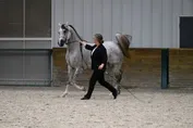 c72354d159362e657548ad2ec5480cf75077073004720c3364ddc70b5a34cad4.jpg