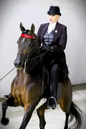 24411c8326a7dd98d353176296a922e11c42716dfce2bc246db9fd832d5bab3b.jpg