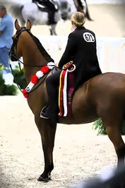 6005998c9da90e9e446e8e734063413331a4836b171a84d87c47c941c17cfdab.jpg