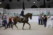 8096b067d0625aa76875cc0f1e15a00e6b44a9a4120c6dfc3da9b477576d7278_1_IzAwMDgwMF8xMDA=.JPG