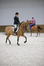 cbcc3c354c5045a05fc6e5e43af90773b2fd20dfd6345d6e548282958d2fa947.JPG