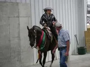cafd080849c10e82ea5500f24ccc34a7919c896cc10816af571674edb974473a_1_IzAwMDgwMF8xMDA=.JPG