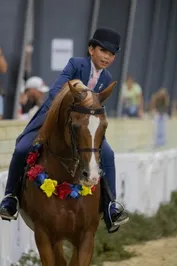 64341f1dec08933d615e1eb2704ee2726c85833dea7ca69ac2a885e8ad0ba8e9.jpg
