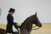 6ac66cb6b3736ac6281406fe458e6fc2937199412fc6279cadc19873d7e92816.jpg