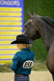 71f0fc1d84535d0cbe56c9b9943ebb999ef7fe12d2ec802dd872783bcb4d167d.jpg
