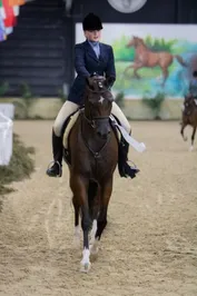f31cb23e03eb1a987bf5f3339bdc8fb909899882ddbf43246769cac3f6d689b0.jpg