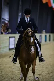 f44fd02d5d1825bc714708a83b71c24a107276010a0eda85f74f4c33fe3f9ab9_1_IzAwMDgwMF8xMDA=.jpg
