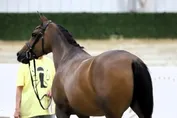 aef3025aaf07654800a42204ad2ea42c8e27ea234500b1983e56faef53648290.jpg