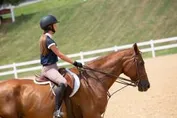 aab4990d04820c9252587f664196aad44516200436d644118879a3562d94da3c_1_IzAwMDgwMF8xMDA=.jpg