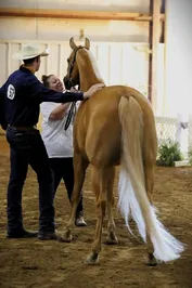 9b0dbaff36af06dcdf6c0655305aaa1ea29970d11104ab1710238f052094c8ce.jpg