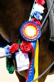 d04c83643b537b9854436ae8dc1bf3391663536d2ffaa7619d706be9578556c8.jpg