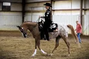 1af334de93f5c06f9715ab2c88ffda9d30f255327df1d69e07dcb4139f441acf.jpg
