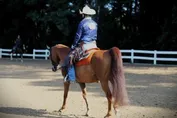 f585b950699c59a5a1d9f4f712c46187d0076fa9a140d0dd98a36cdaa22d3109.jpg