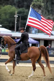 c3e60557426c5f6747314417c53d0bde775e7b9f40146c5bbc8a9f389071759d.jpg