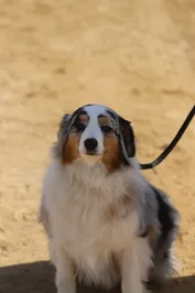 7043f906f59383f4e8b95ee629882b8f90709392593d7db0b6030877d0c6d32f.jpg