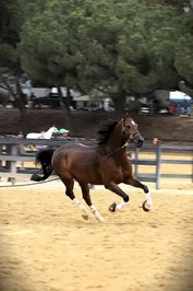 063e2427f13e7cd272d0dc0f22bb6cbeec0d6f61d2adb3c18067fba037f9305a.jpg