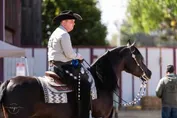 9ea77eb62f3cc380b94eebc9a9b02e2425fde36edcaca8df3d75eb15c209cf42.jpg